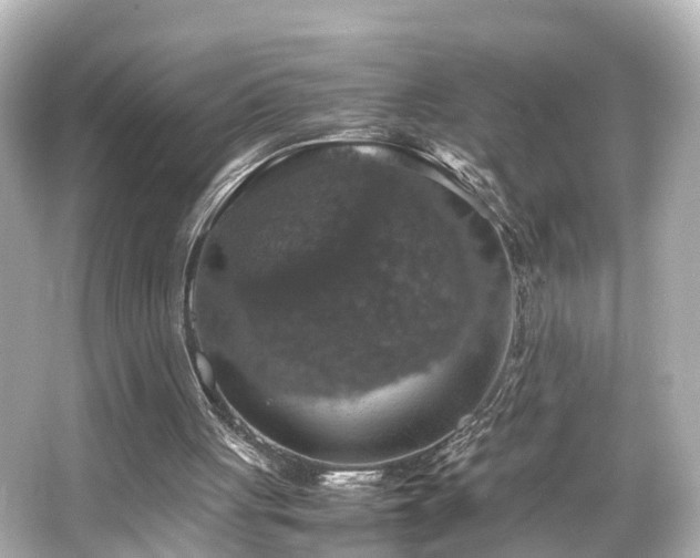 X0000066540051200603201436