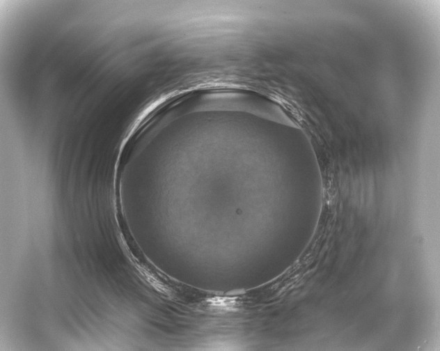 X0000066540052200603201436