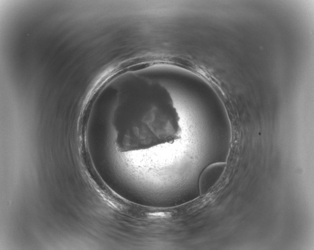 X0000066540053200603201436