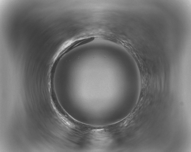 X0000066540054200603201436