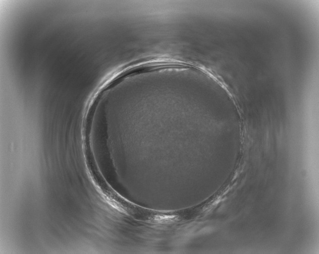 X0000066540055200603201436