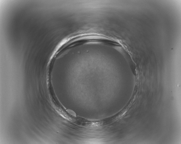 X0000066540056200603201436