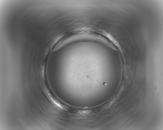 X0000066540057200603201436