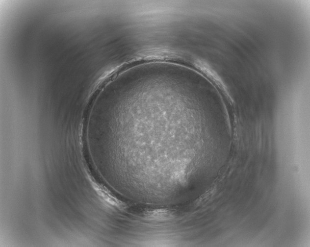 X0000066540058200603201436