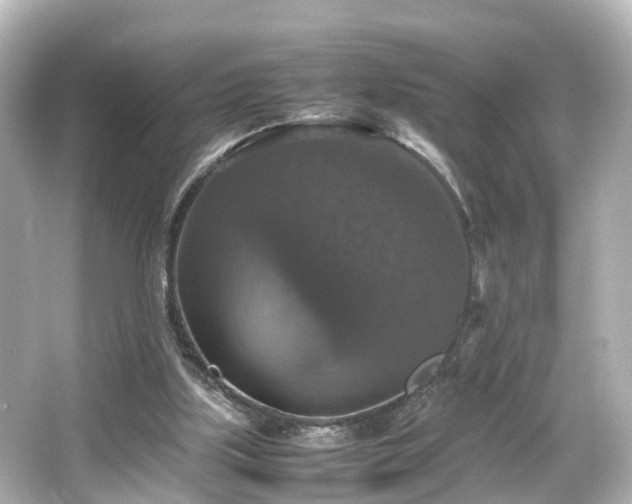 X0000066540059200603201436