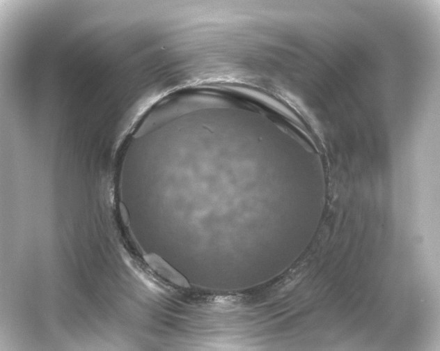 X0000066540060200603201436