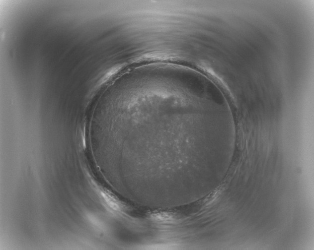 X0000066540062200603201436