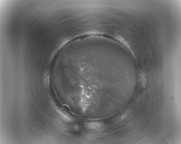 X0000066540063200603201436