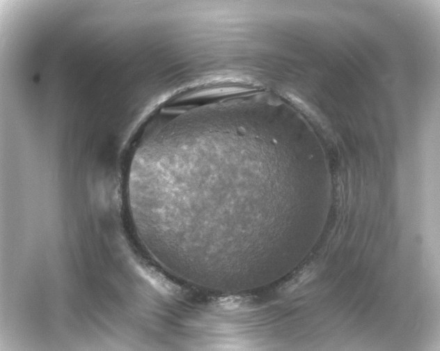 X0000066540064200603201436