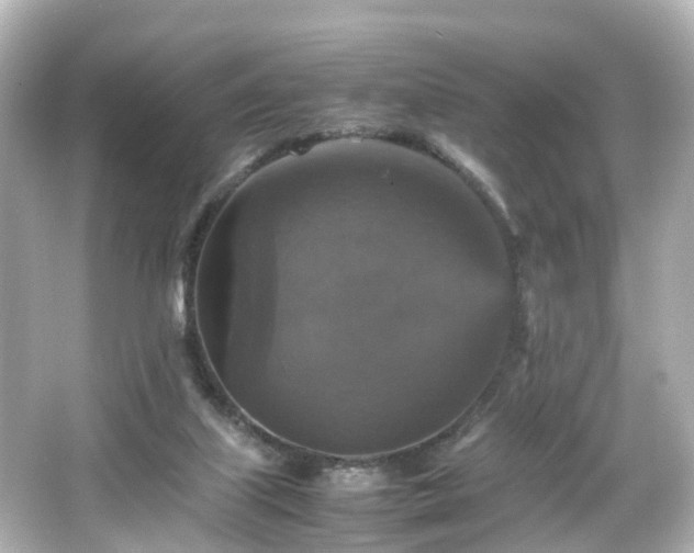 X0000066540067200603201436