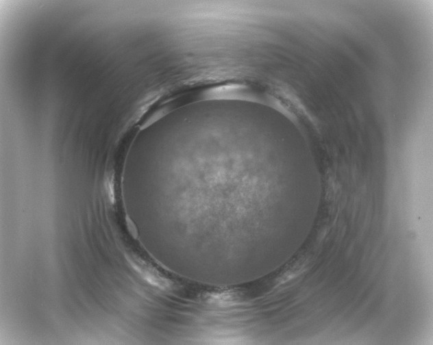 X0000066540068200603201436