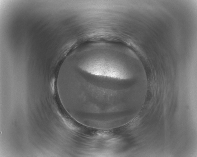 X0000066540070200603201436