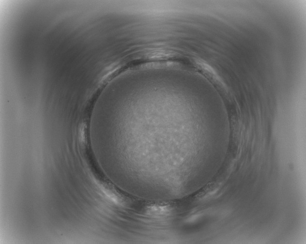 X0000066540071200603201436