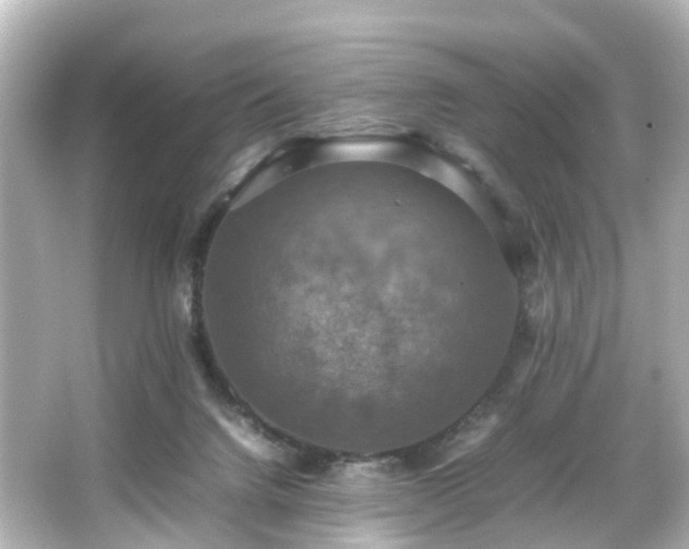 X0000066540072200603201437