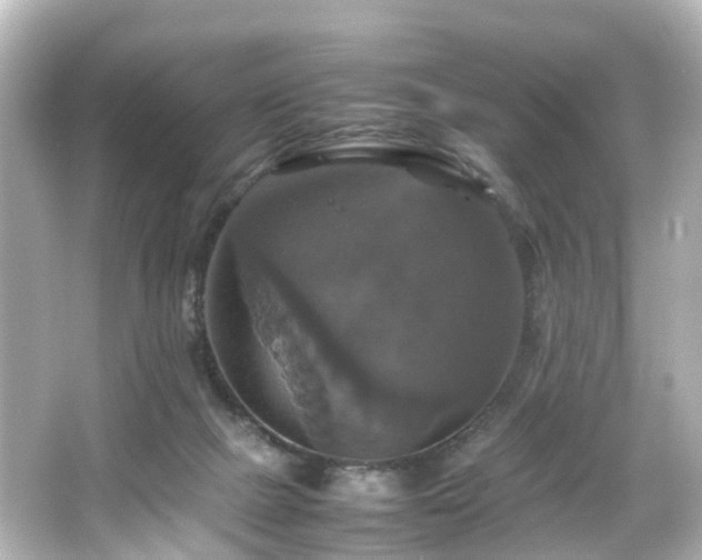 X0000066540073200603201437