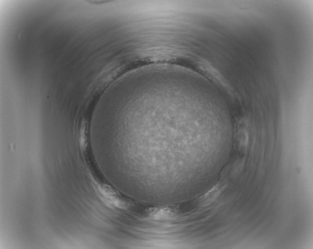 X0000066540074200603201437