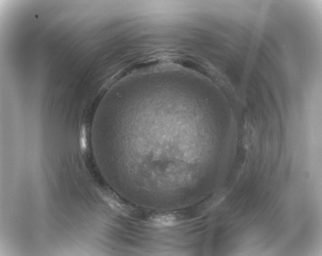 X0000066540075200603201437