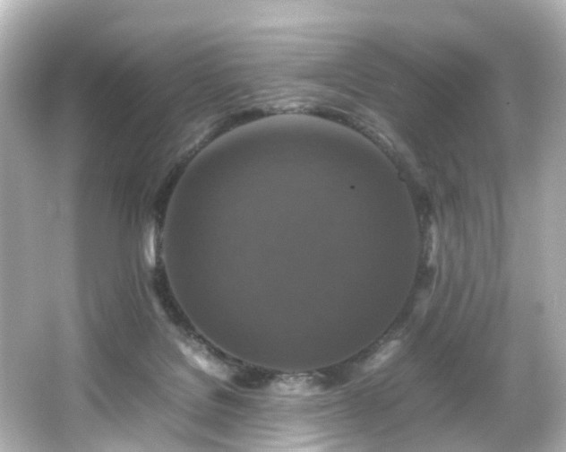 X0000066540076200603201437