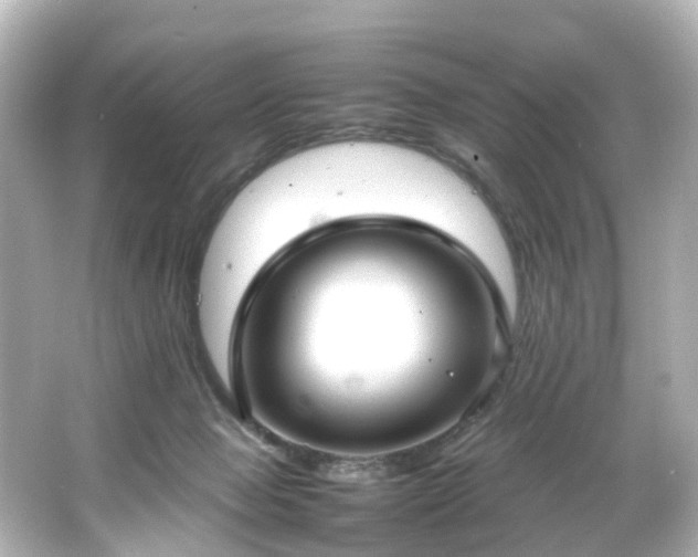 X0000066540077200603201437