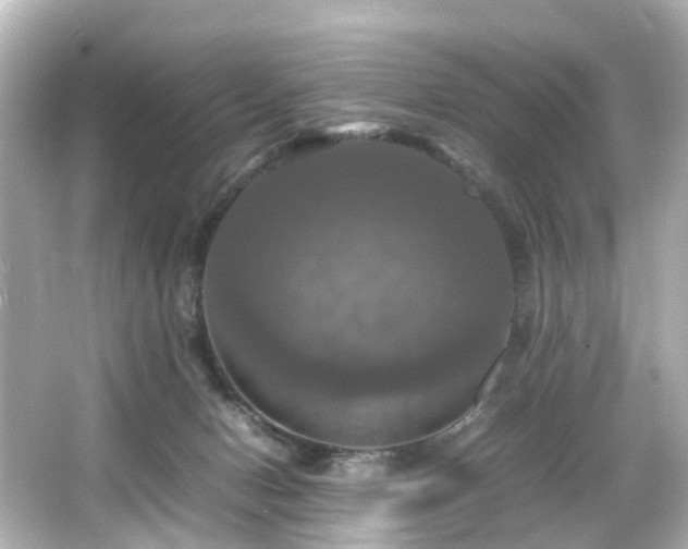 X0000066540078200603201437