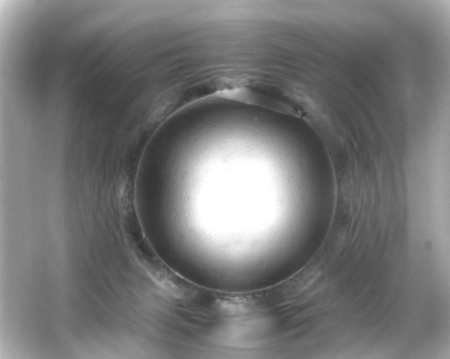 X0000066540079200603201437