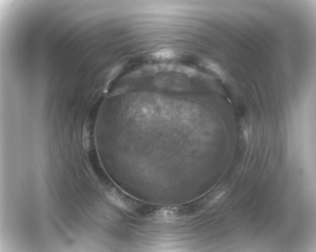 X0000066540080200603201437