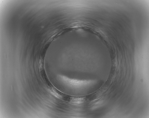 X0000066540081200603201437