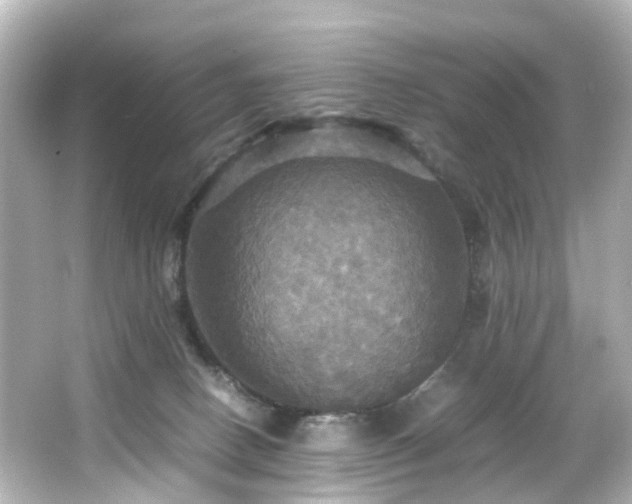 X0000066540082200603201437