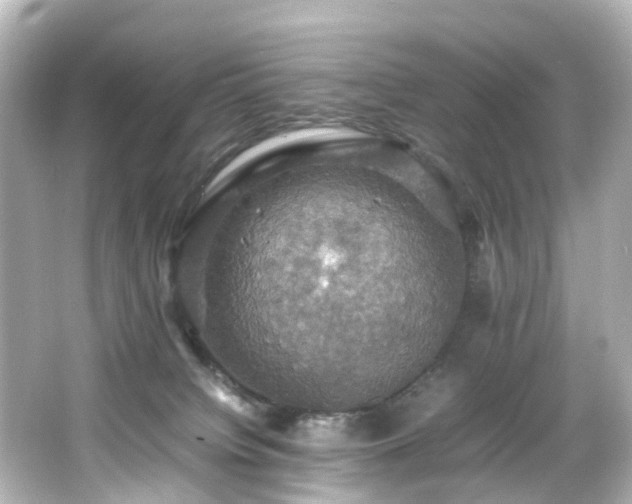 X0000066540084200603201437