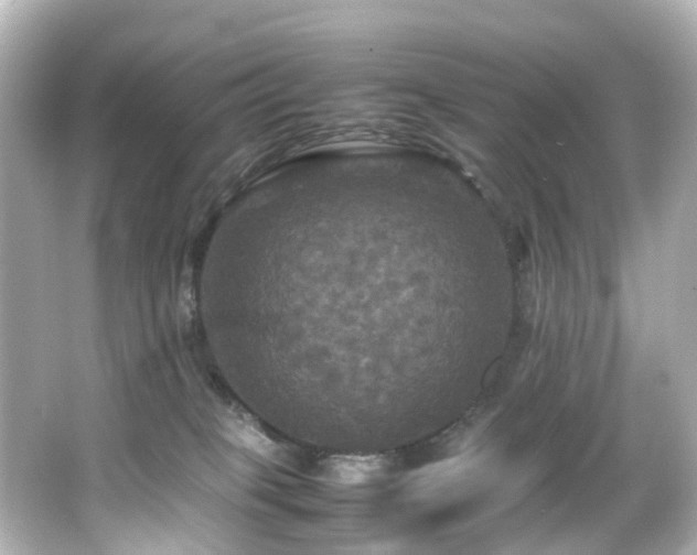 X0000066540085200603201437