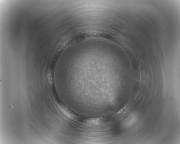 X0000066540086200603201437