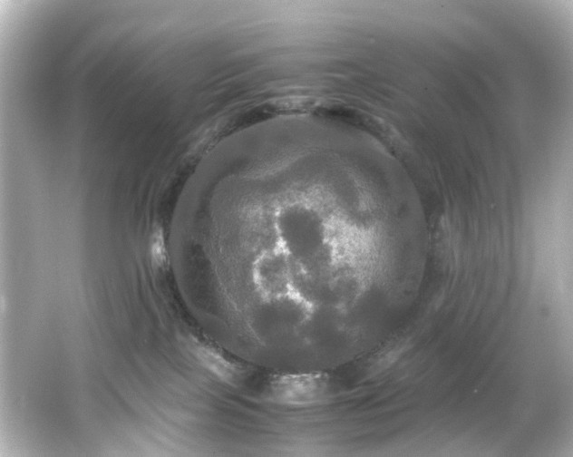 X0000066540089200603201437