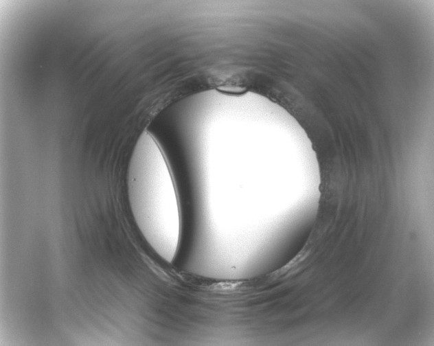 X0000066540090200603201437