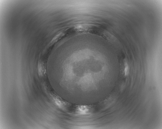 X0000066540091200603201437