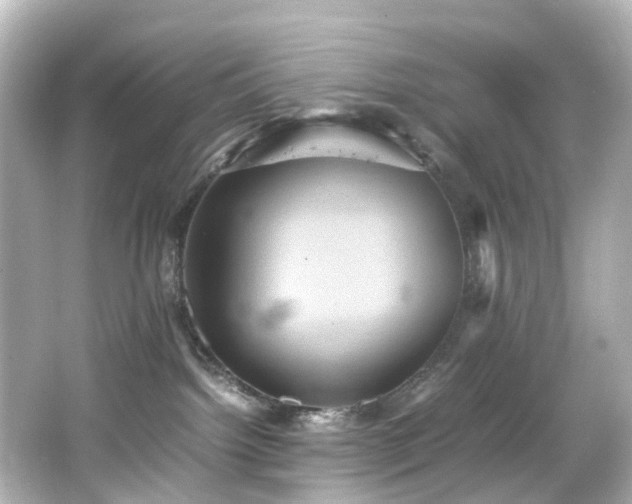 X0000066540092200603201437