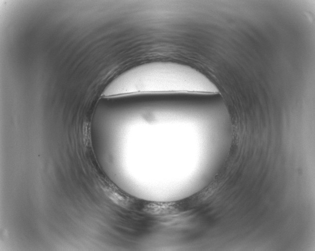 X0000066540093200603201437