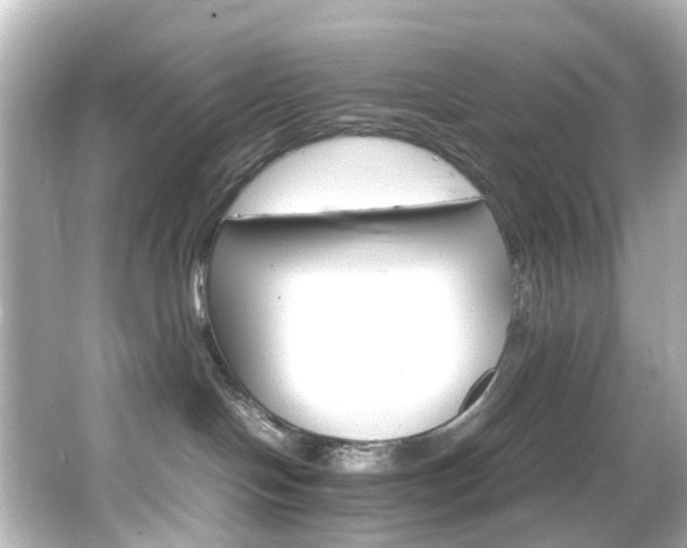 X0000066540094200603201437