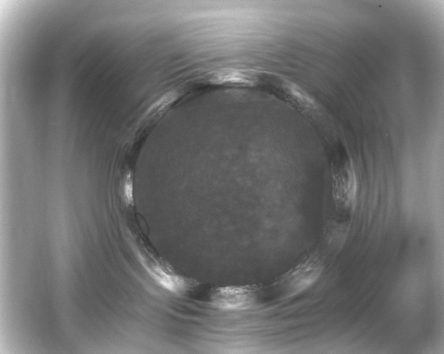 X0000066540095200603201437