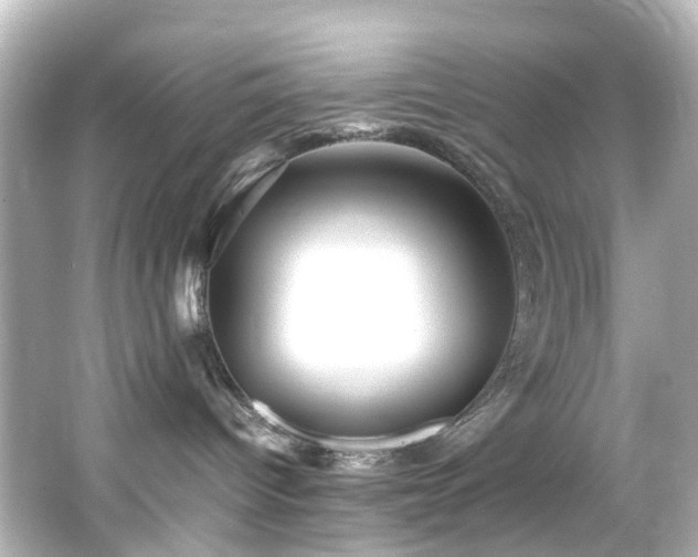 X0000066540096200603201437