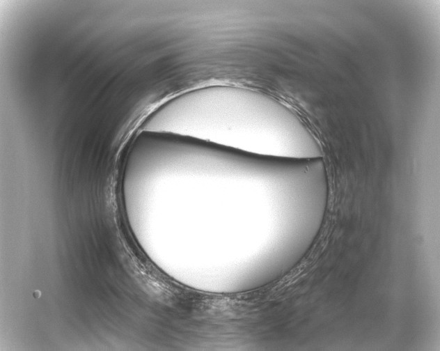 X0000066540098200603201436