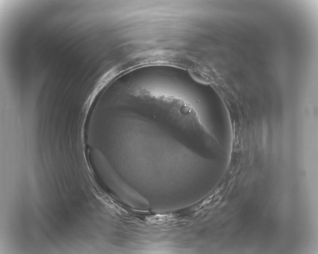 X0000066540099200603201436