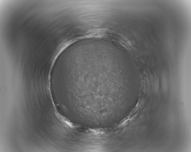 X0000066540100200603201436