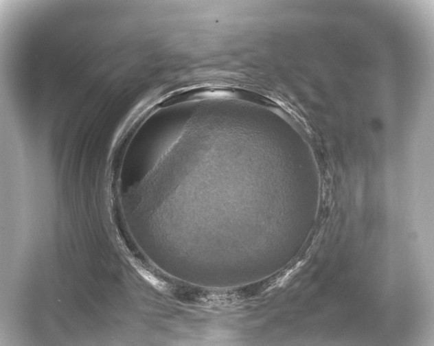 X0000066540101200603201436