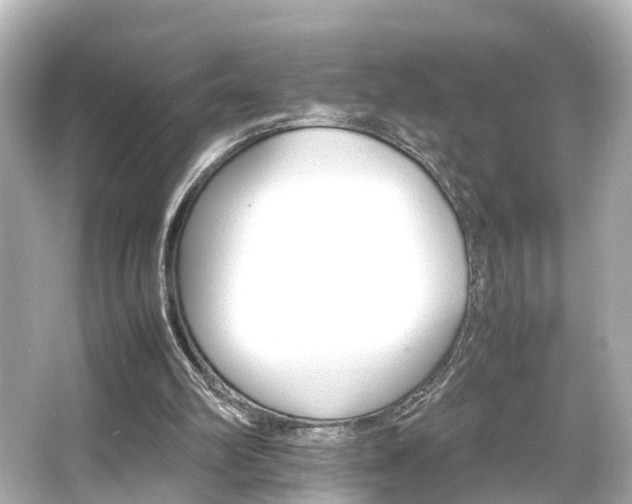 X0000066540102200603201436