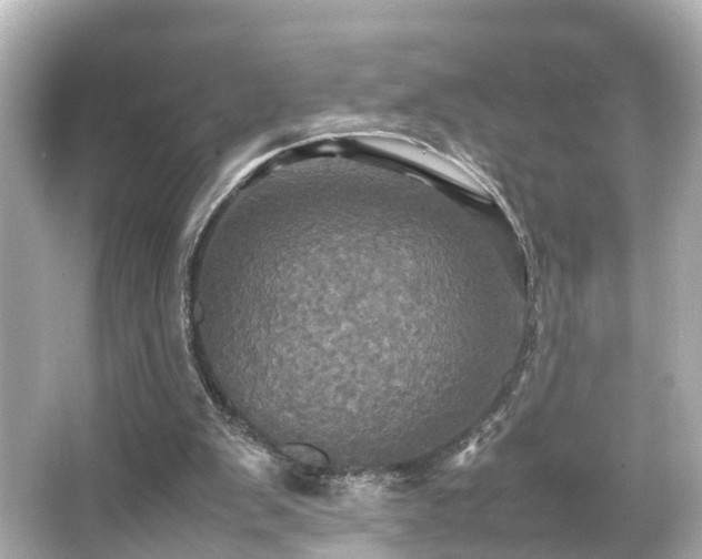 X0000066540103200603201436