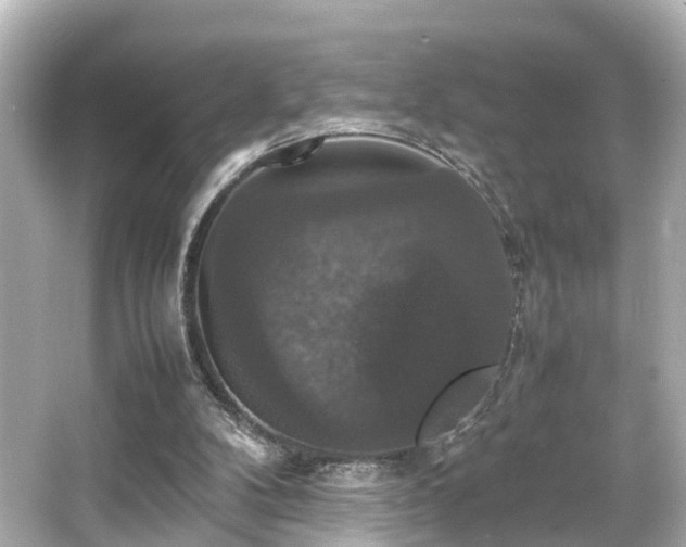 X0000066540104200603201436