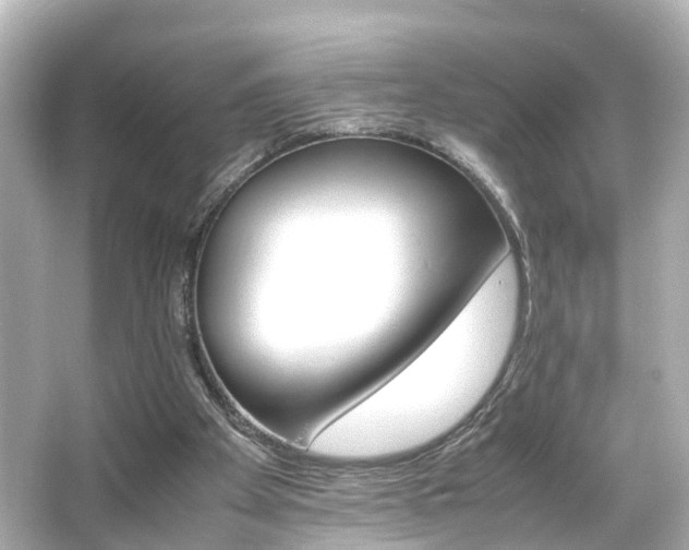 X0000066540105200603201436