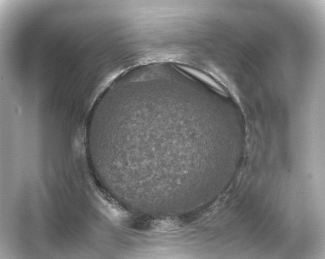 X0000066540107200603201436