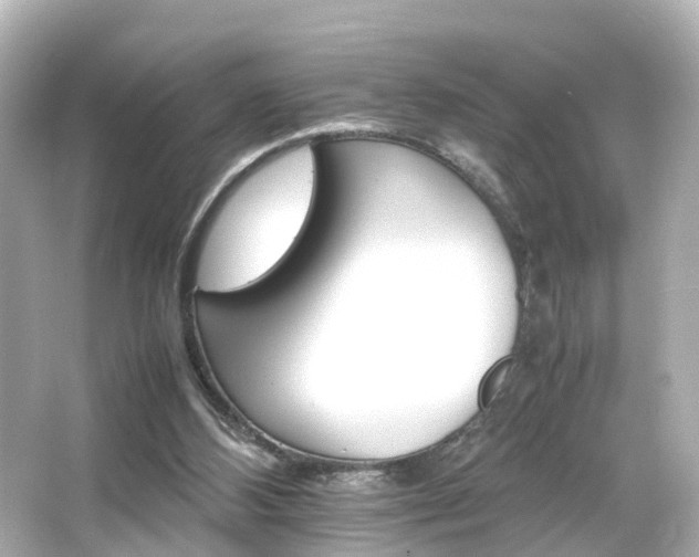 X0000066540108200603201436