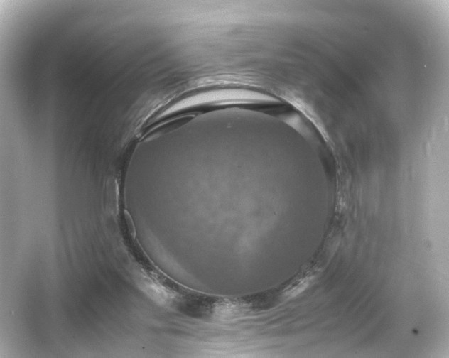 X0000066540109200603201436